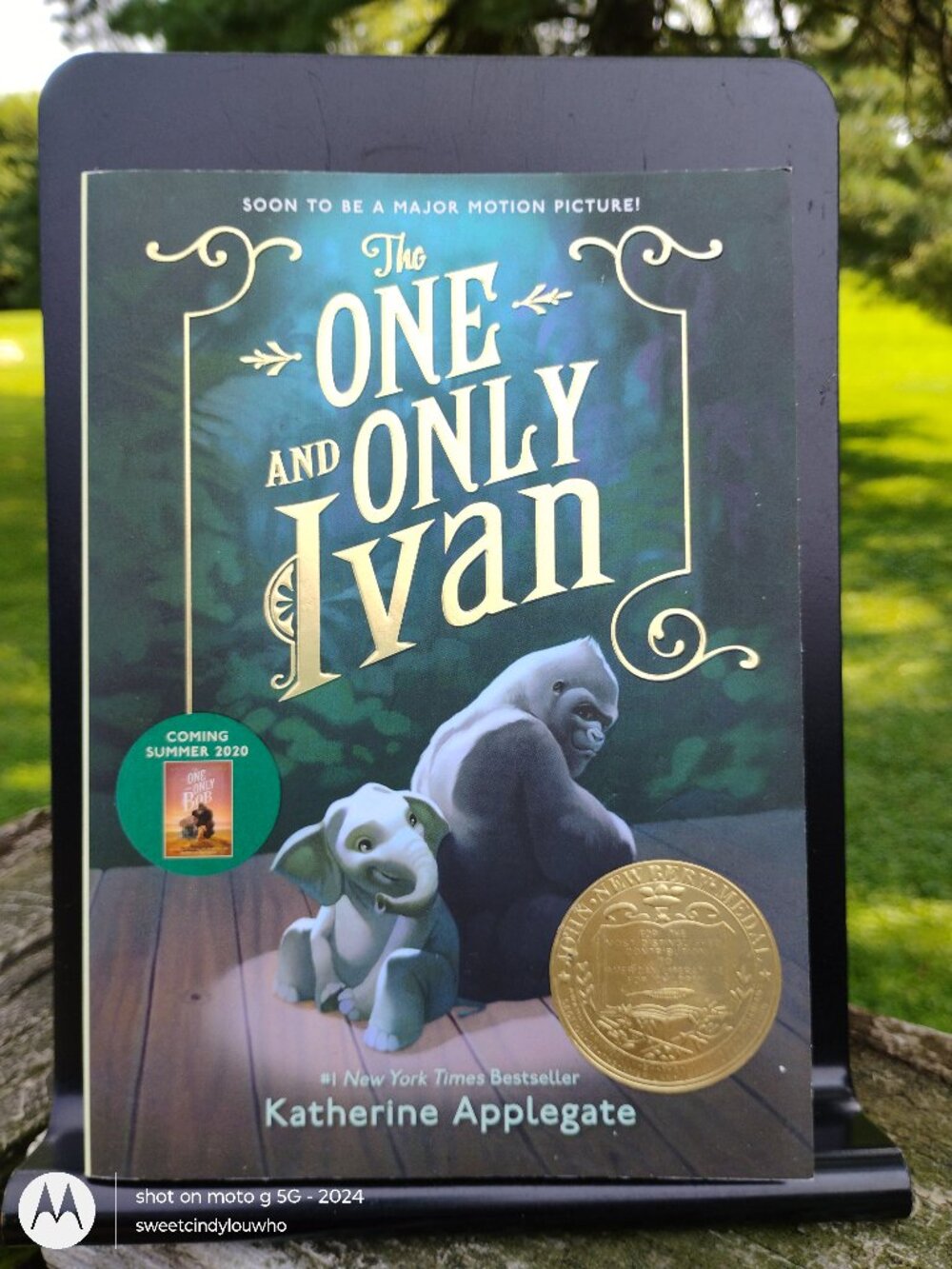 The One and Only Ivan by Katherine Applegate illustr Patricia Castelao 2014
